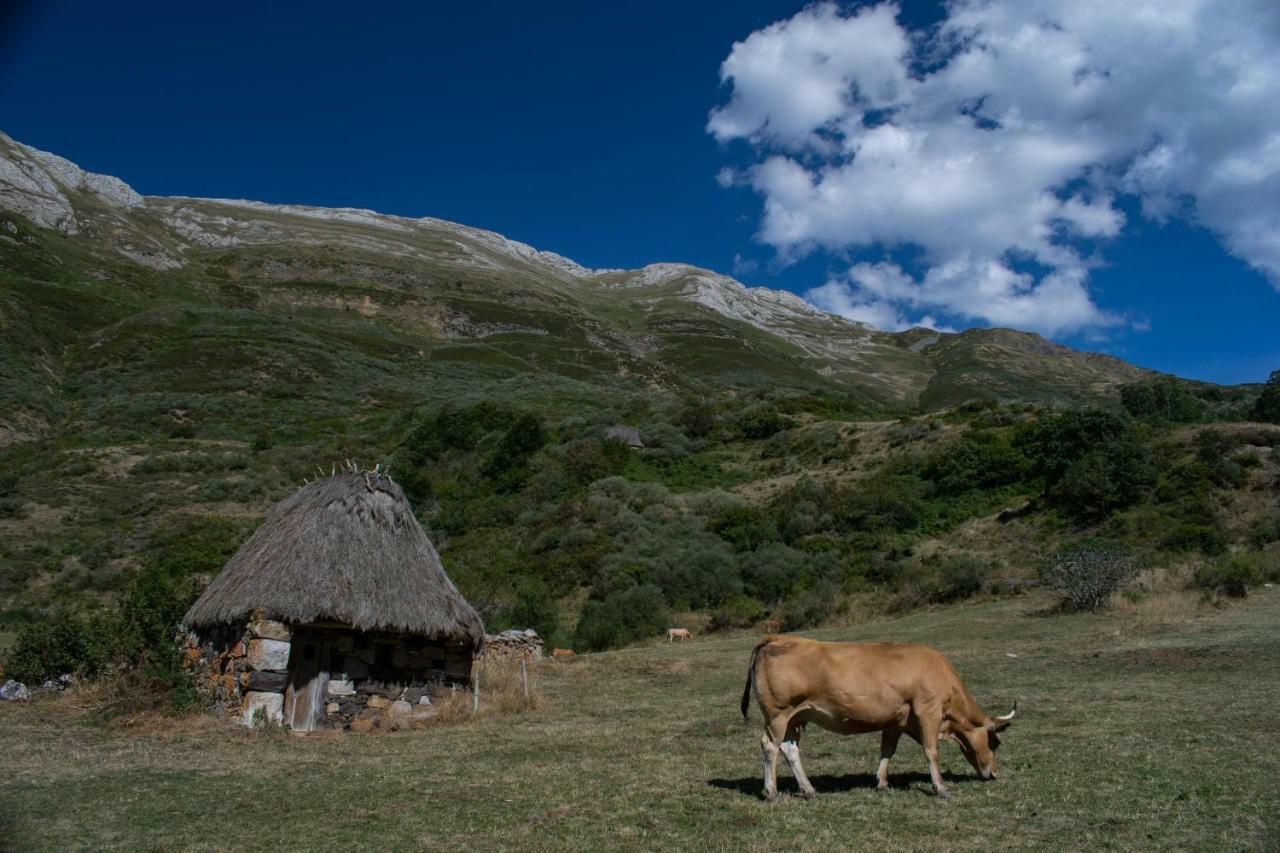 Casa Serafo Saliencia Eksteriør bilde